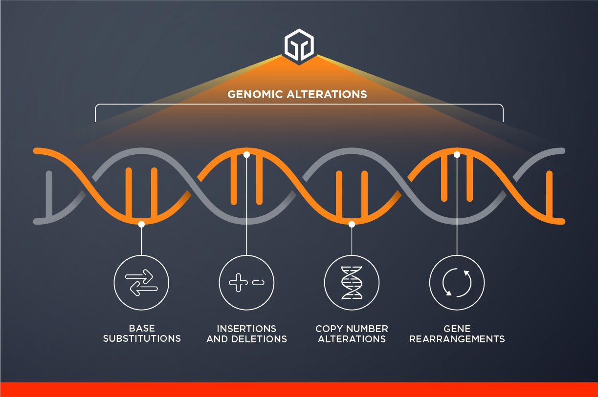 All our services use our leading comprehensive genomic profiling approach to identify clinically relevant alterations and potentially expand treatment options